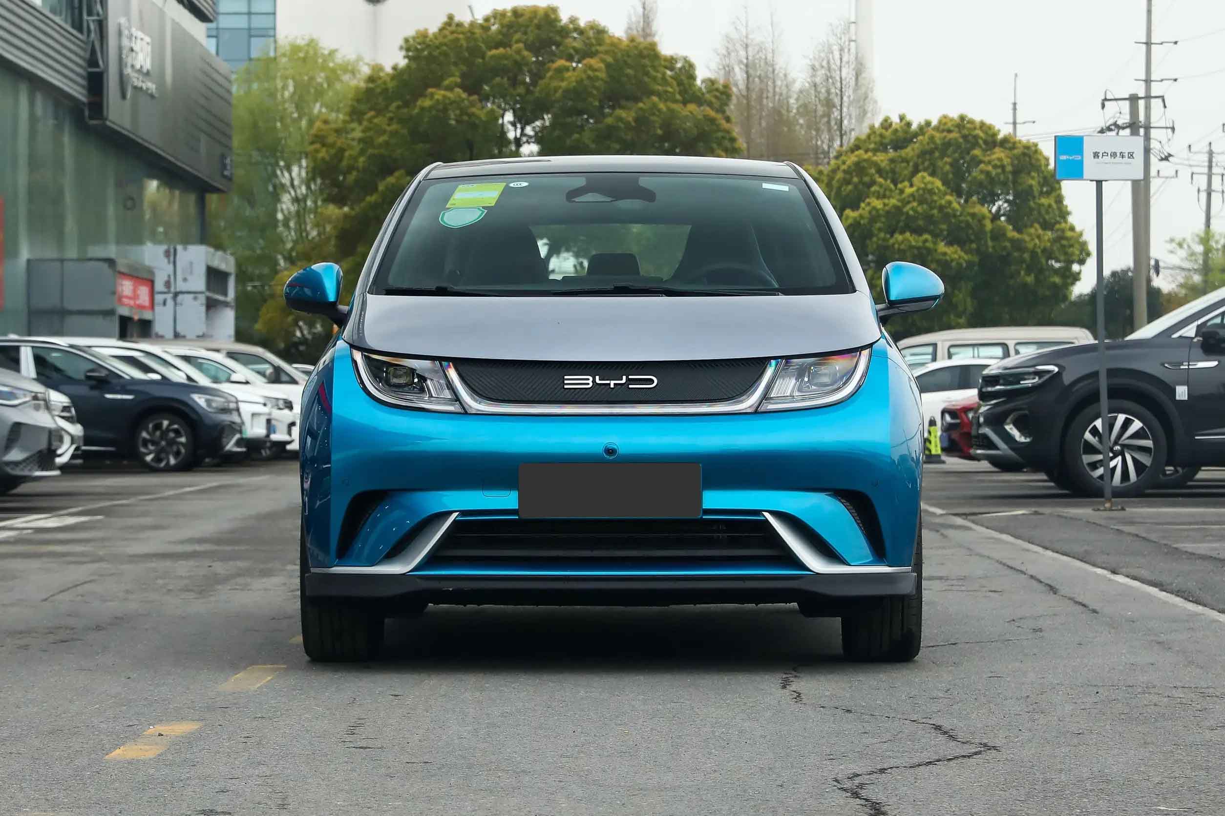 byd dolphin 2023 внешний вид-2