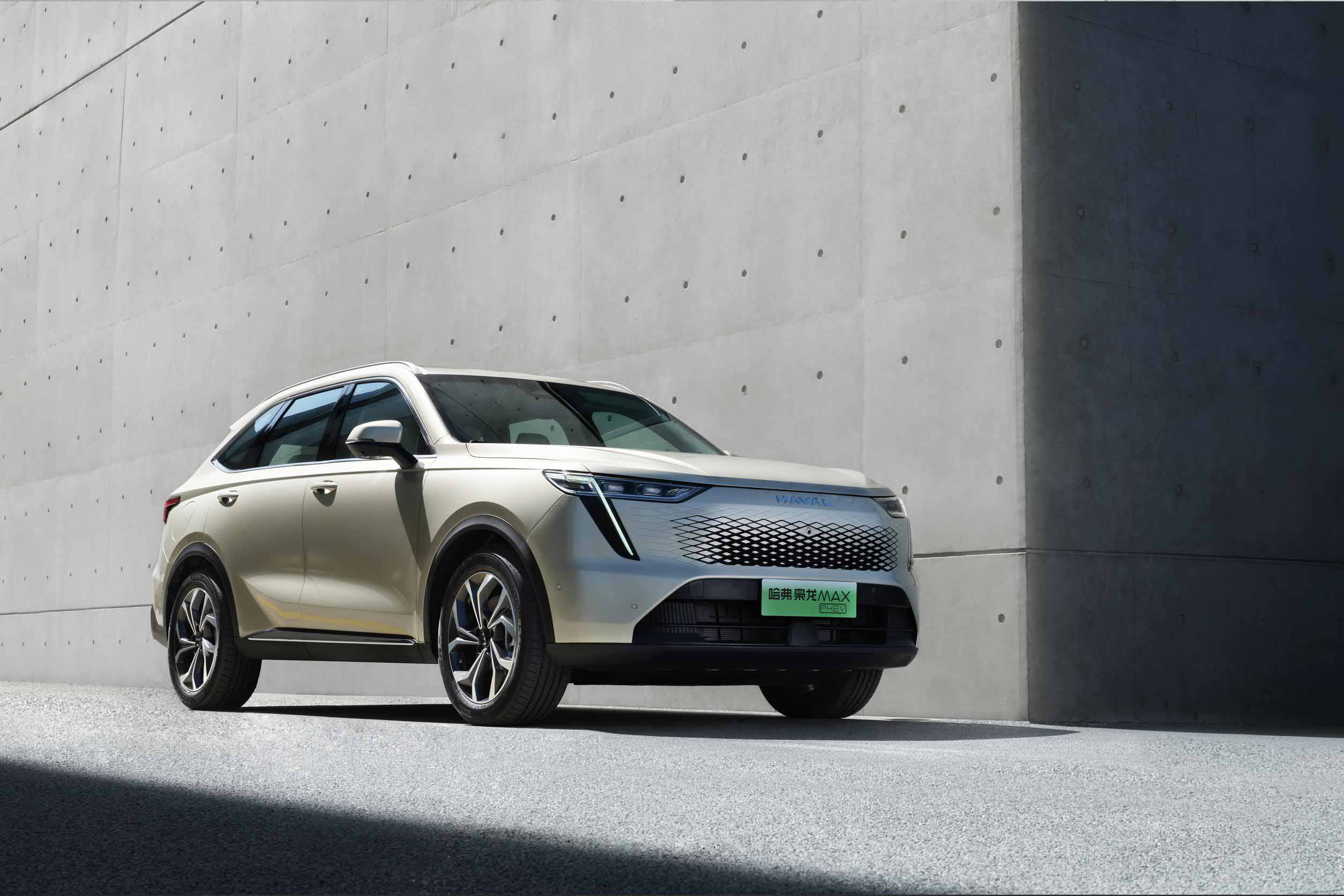 Haval Xiaolong MAX​