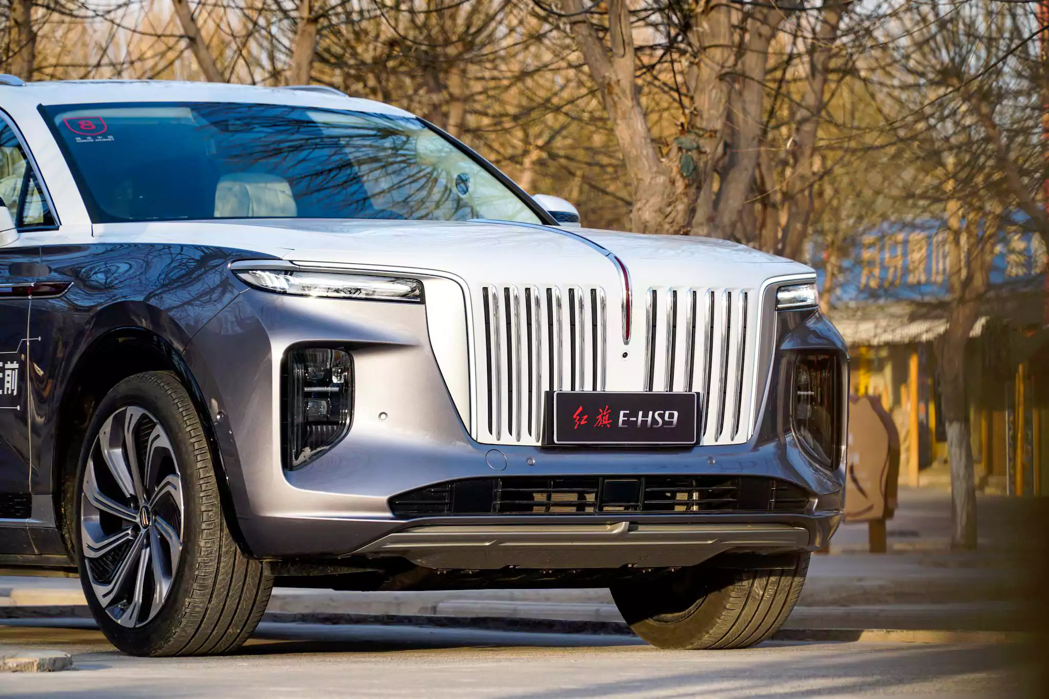 Hongqi E-HS9 внешний вид 1