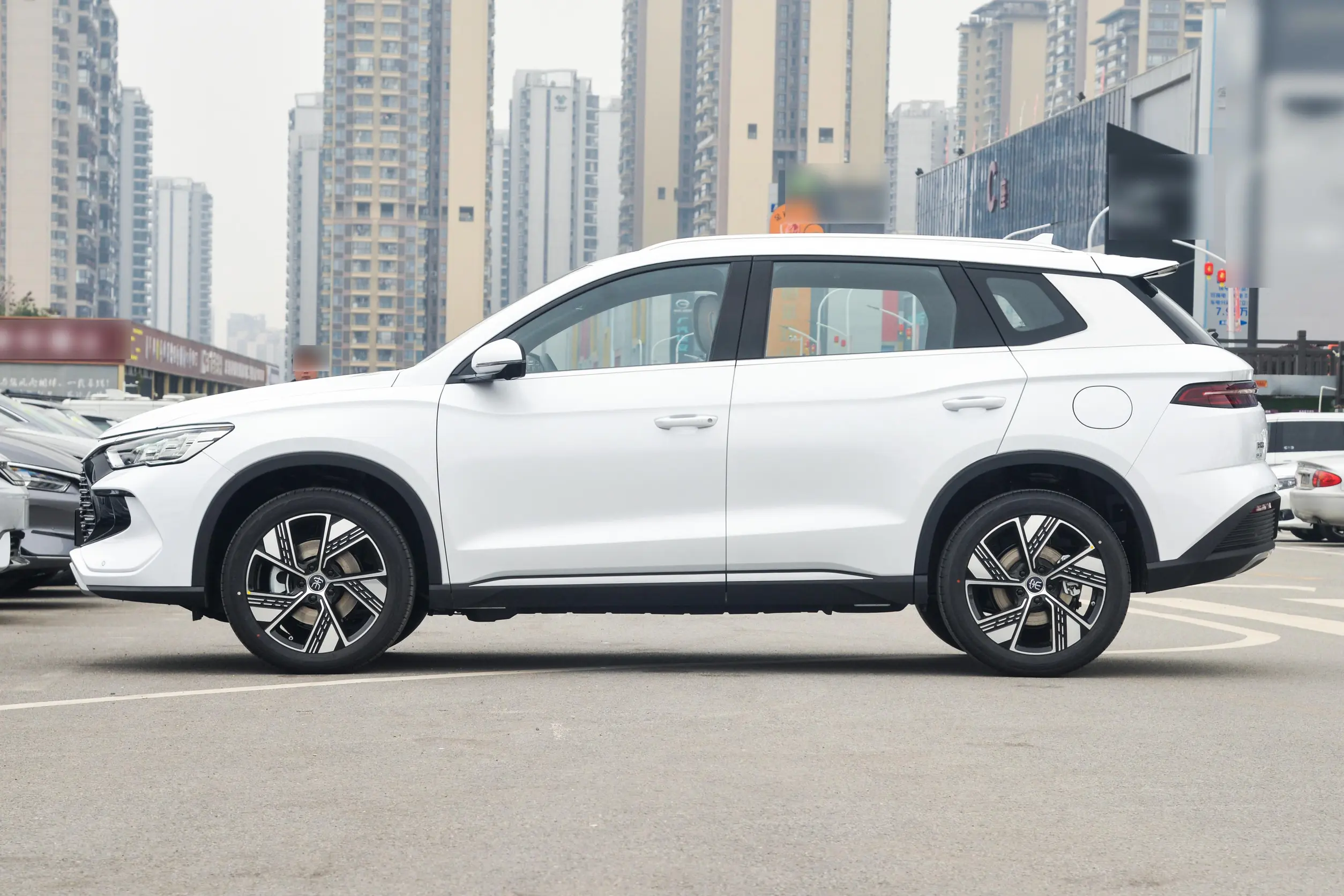 byd song pro dm-i 2024 внешний вид-3