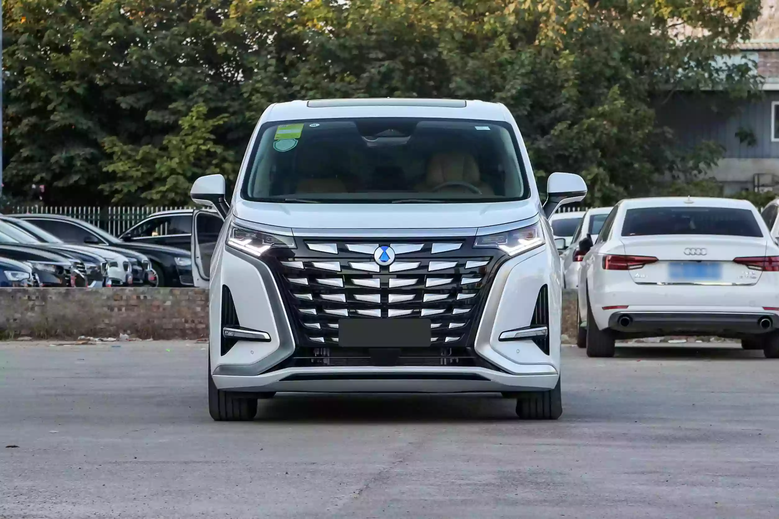 denza d9 dm -i 2023 внешний вид -2