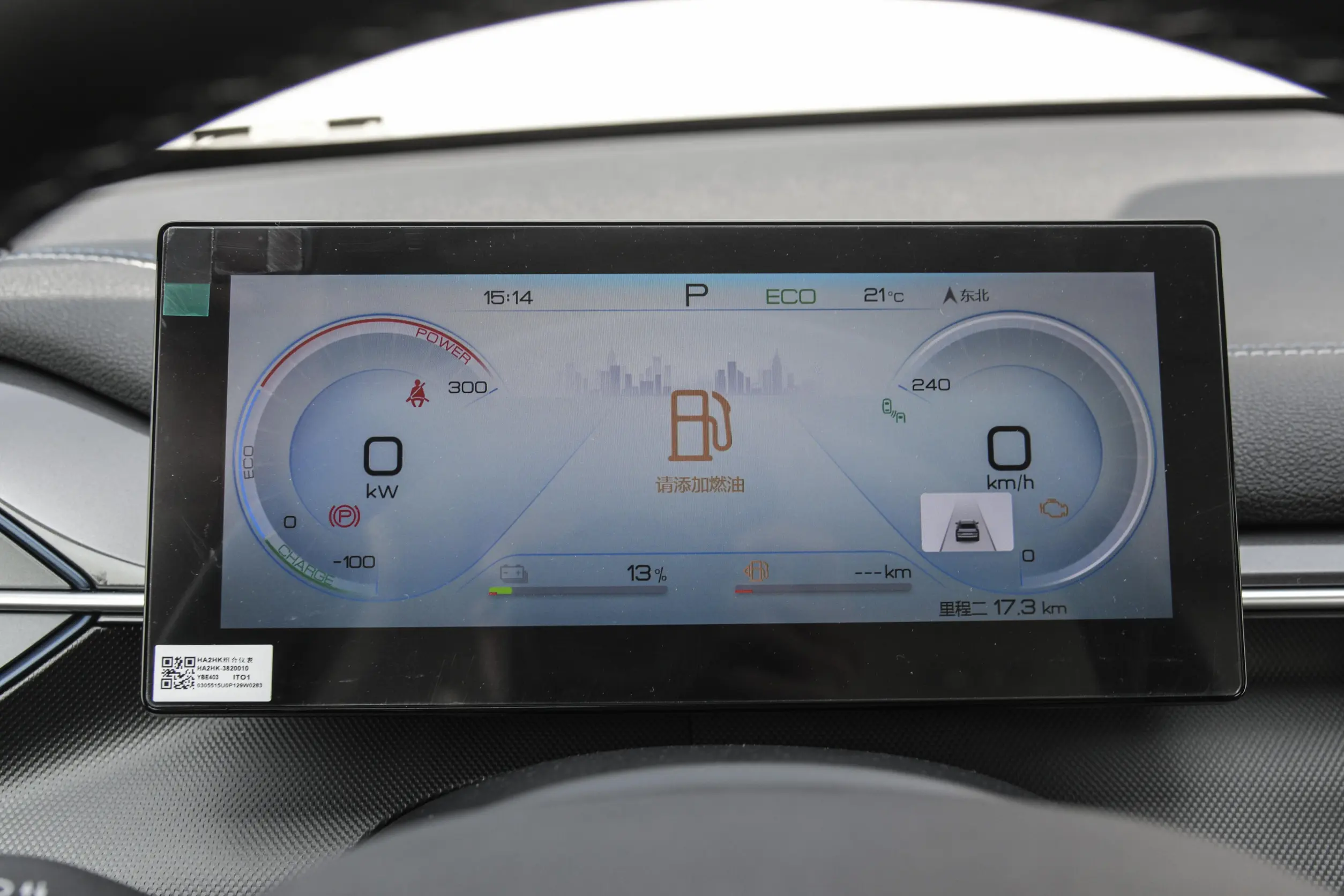 byd desmouser 05 picture (4)