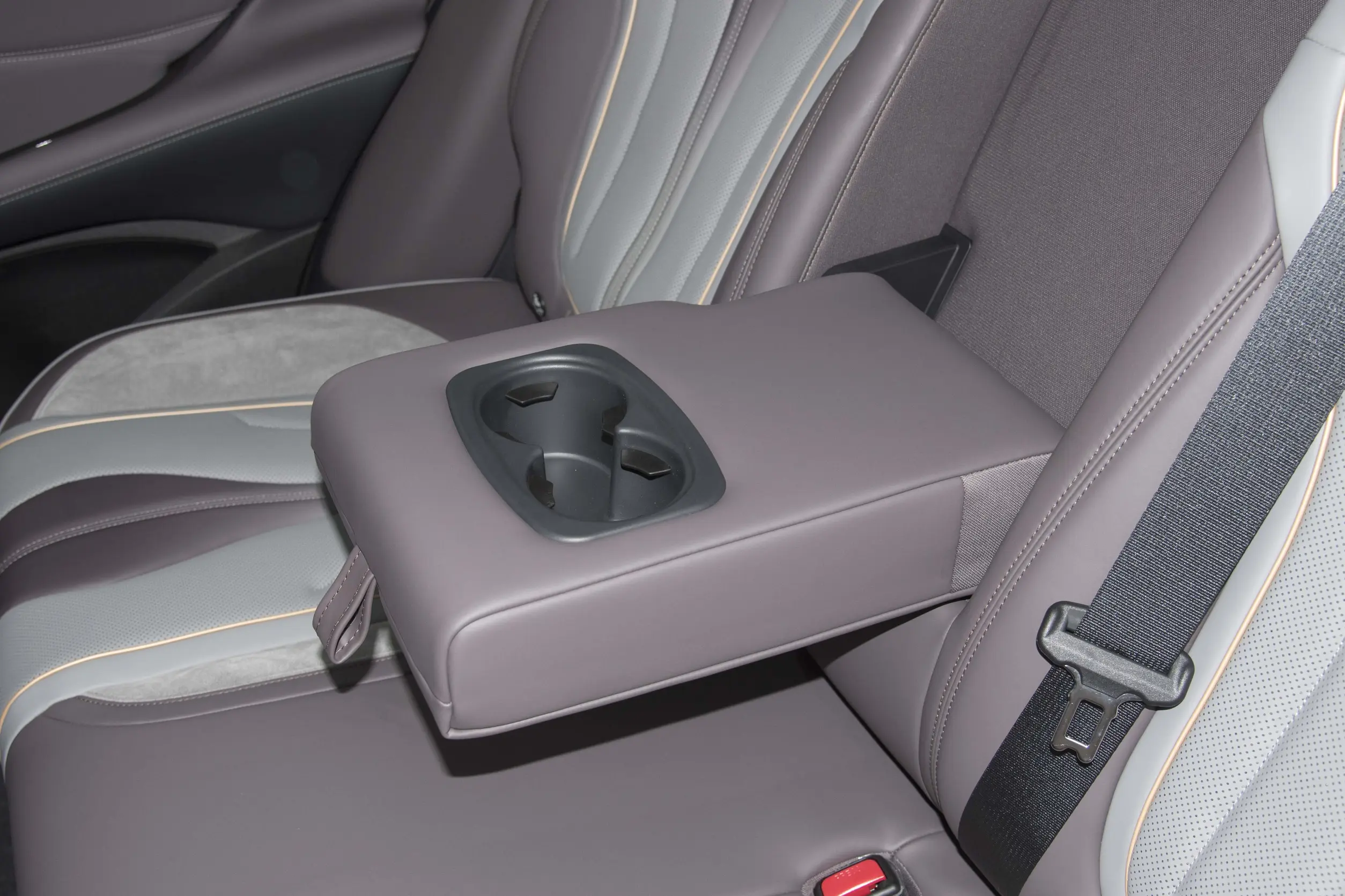 byd fregtic 07 picture (12)