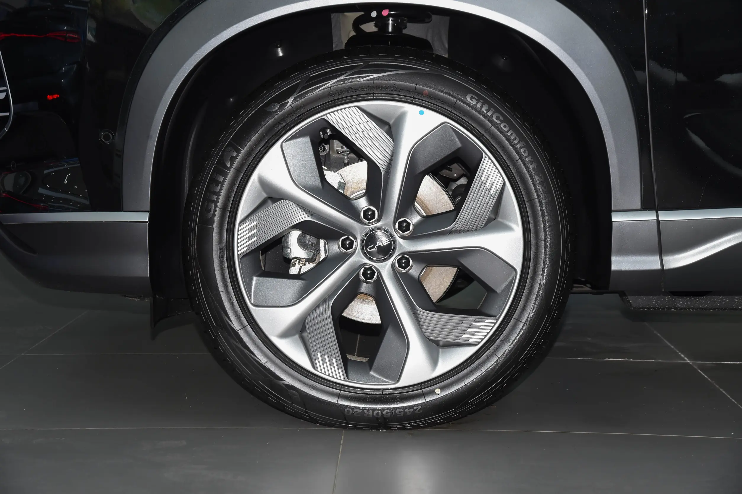 byd frigt 07 picture (2)