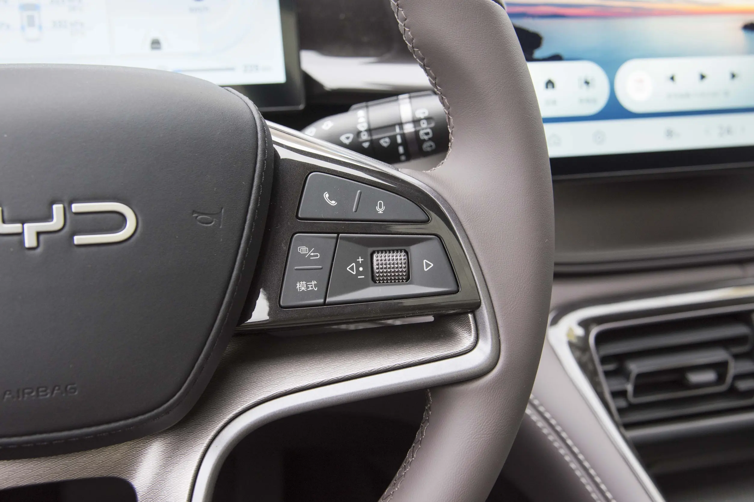 byd fregtic 07 picture (7)
