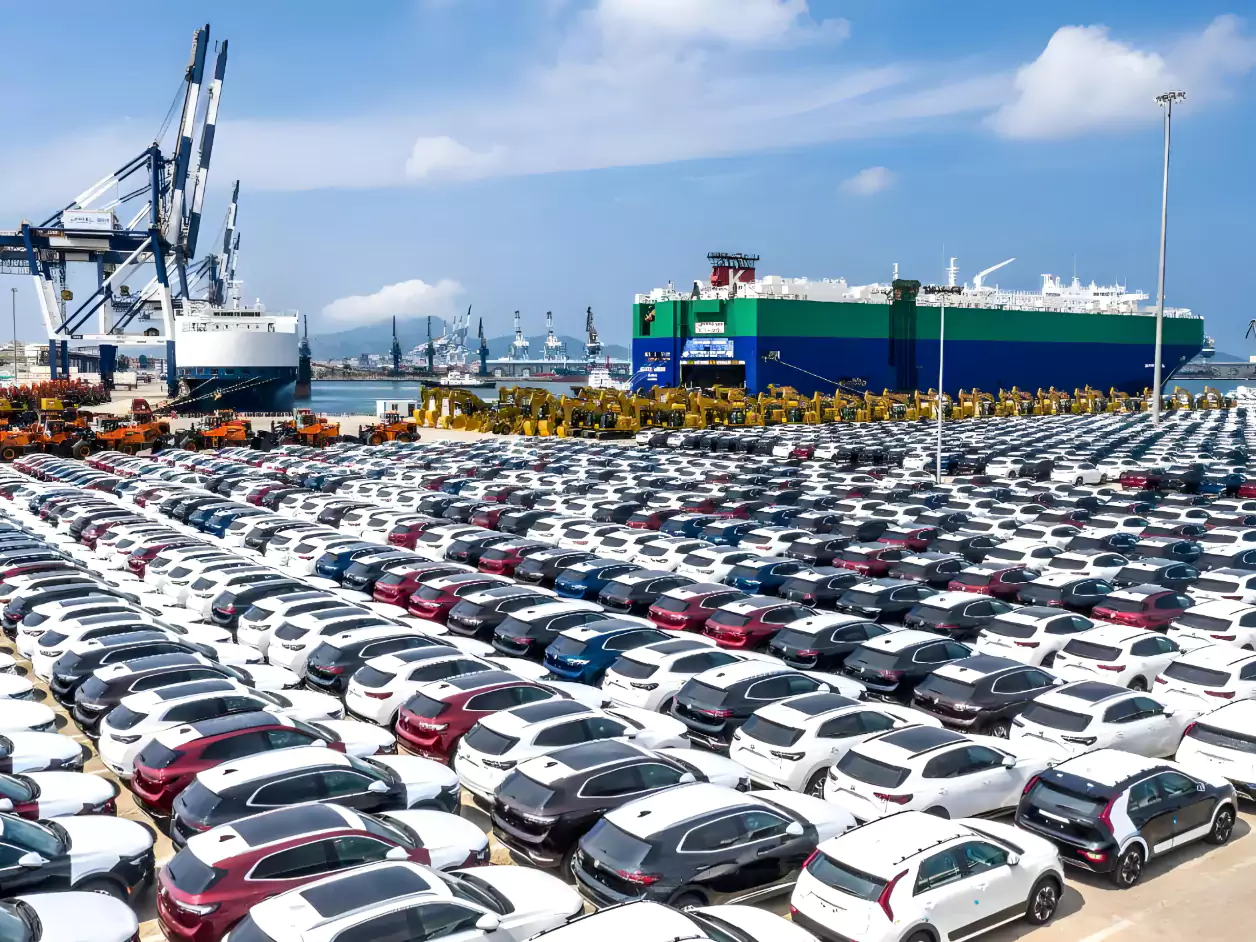 Cars parked at the port