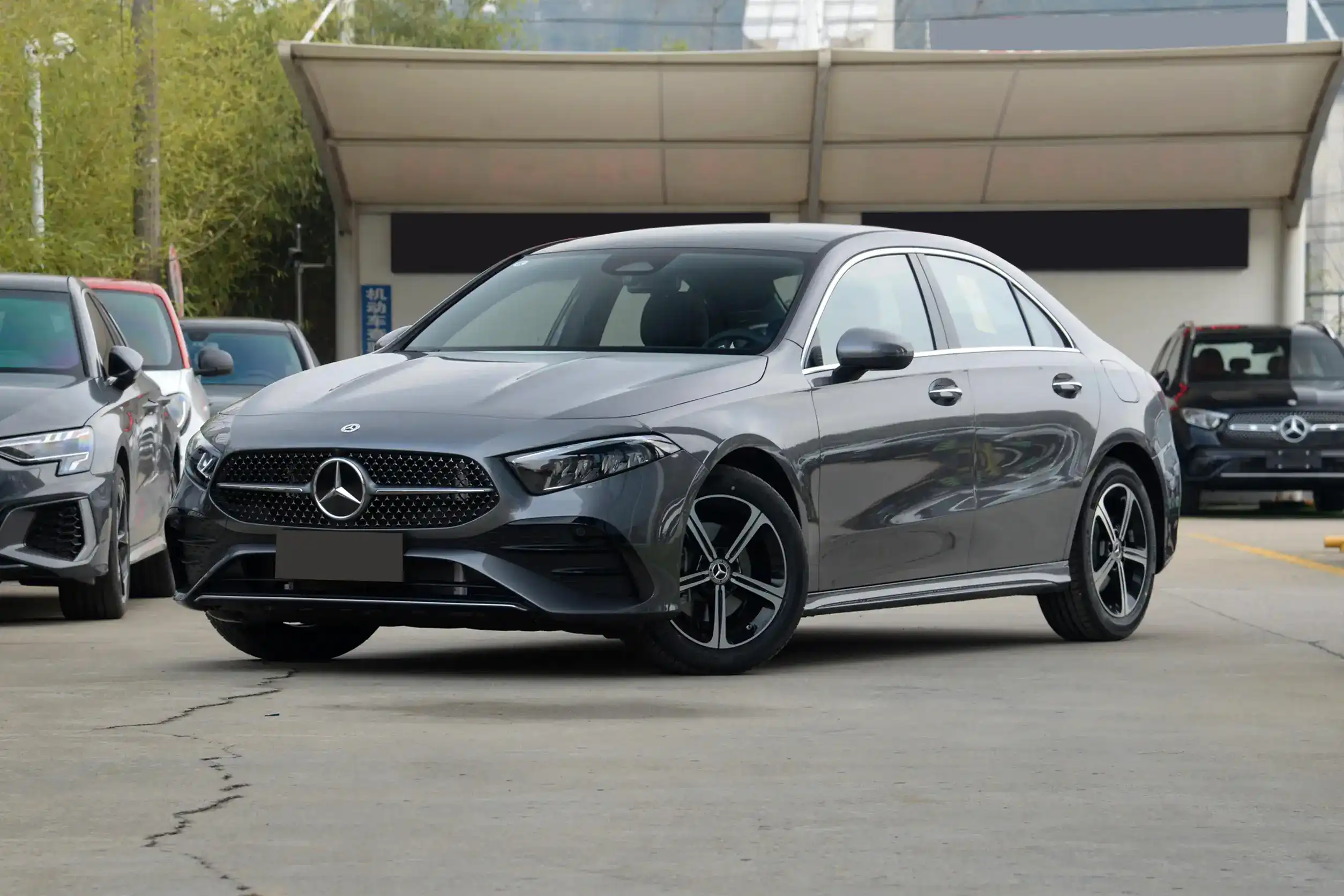 mercedes-benz a picture 200 л (13)