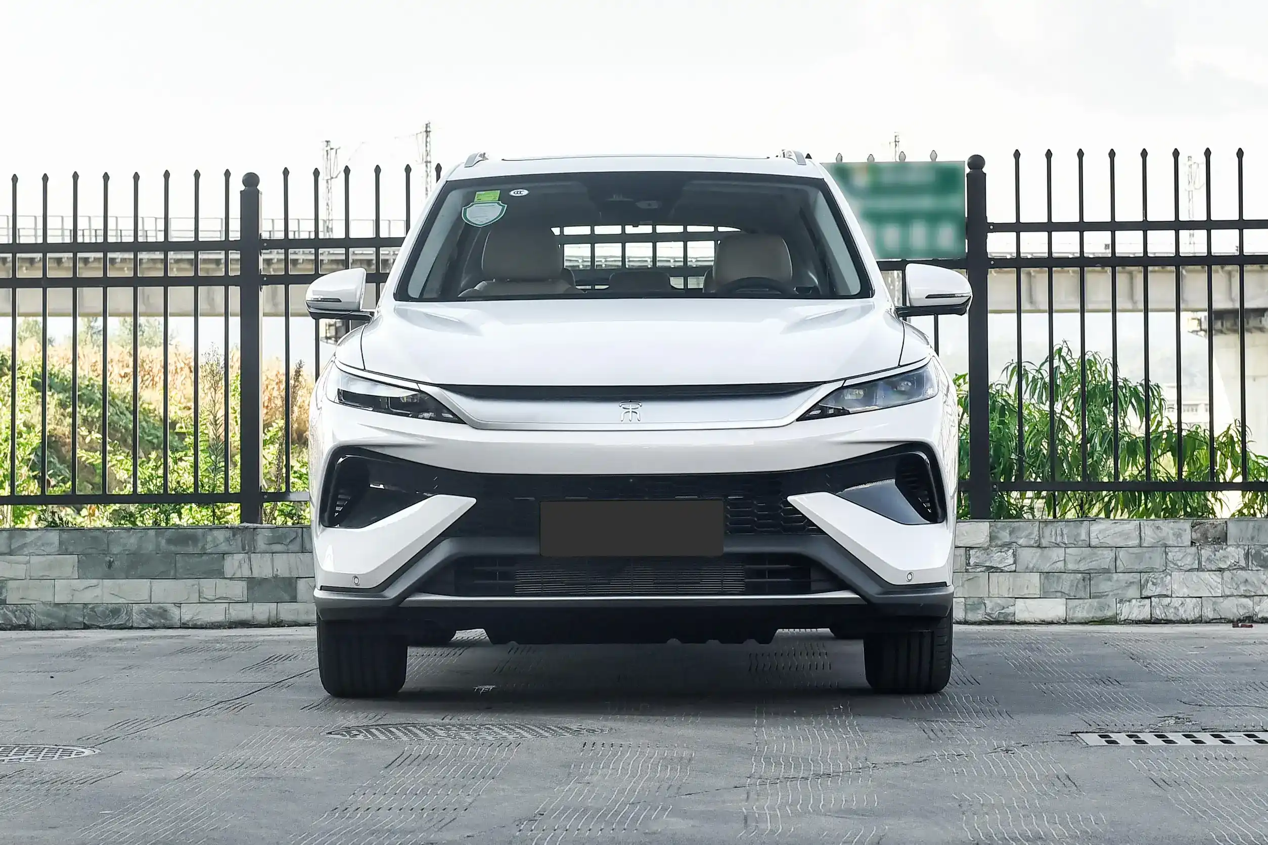 byd song pro dm 2025 внешний вид-2
