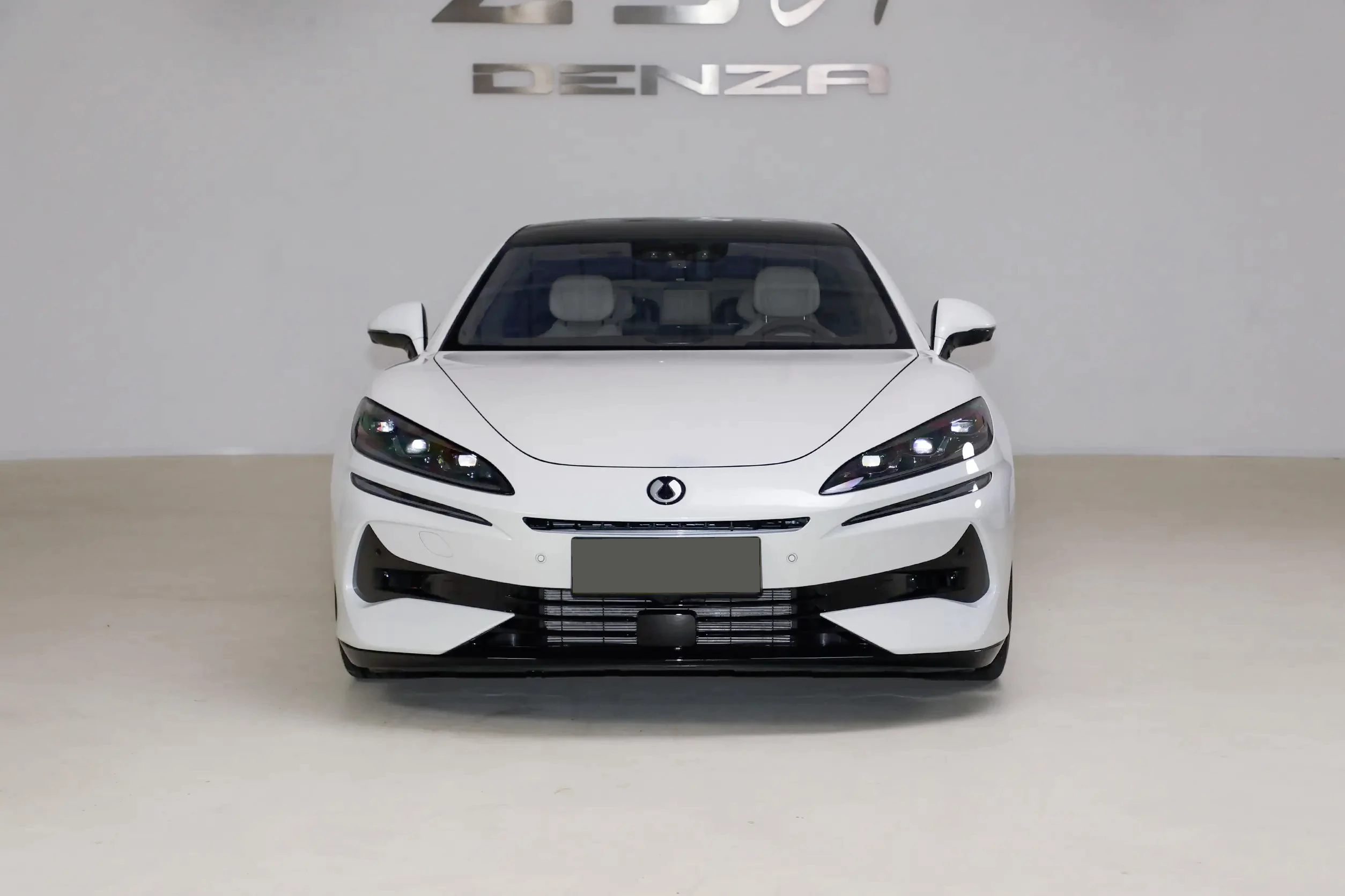 Денза Z9GT DM 2024 Внешний вид-2